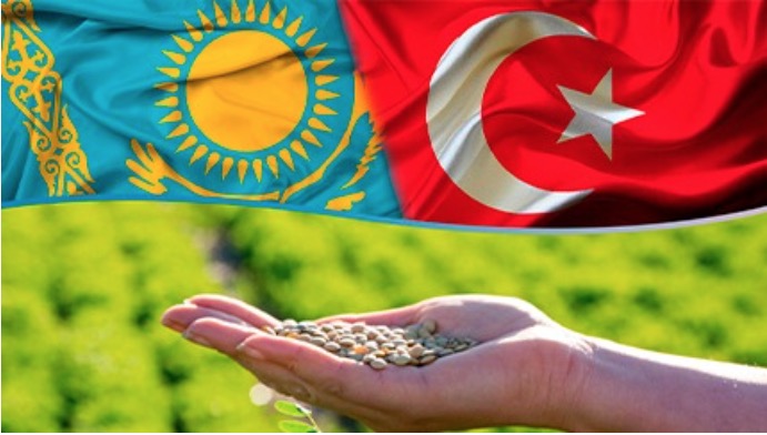 Турция и казахстан разница. Trade partnership between Turkey and Kazakhstan