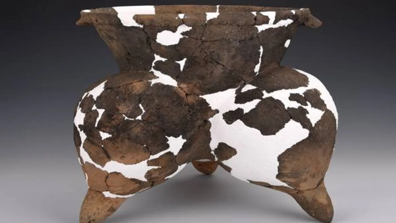 Порно тек есекке арналған Жеті гномдар порно