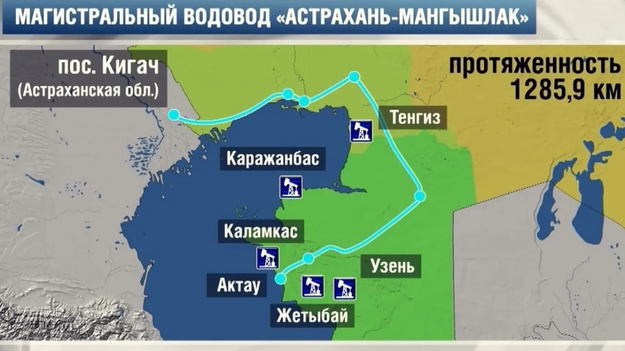 Майлы кискалардың бейне жинағы