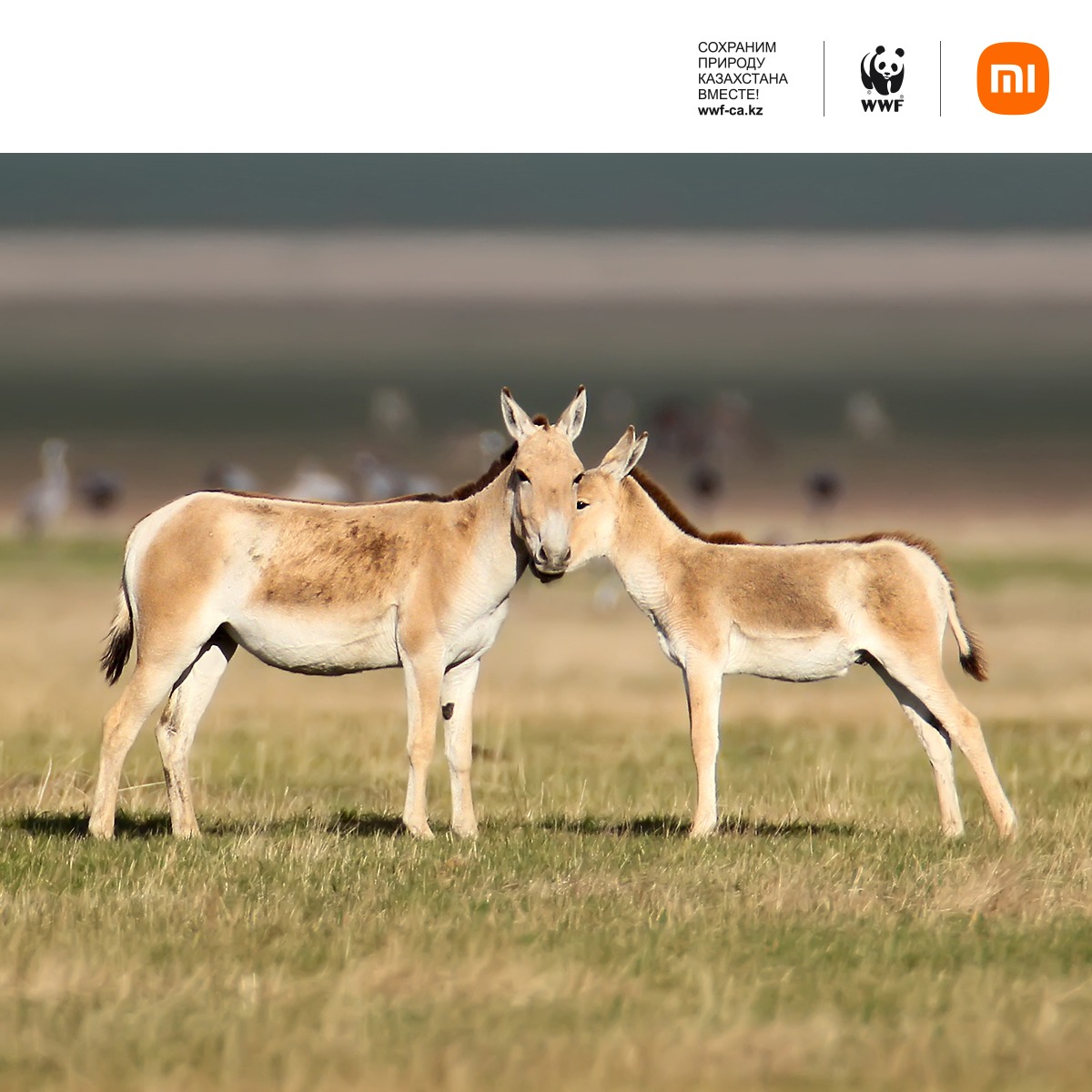 YouTube порно актрисасы Синди Дженнингс фотосуретінің сипаттамасы