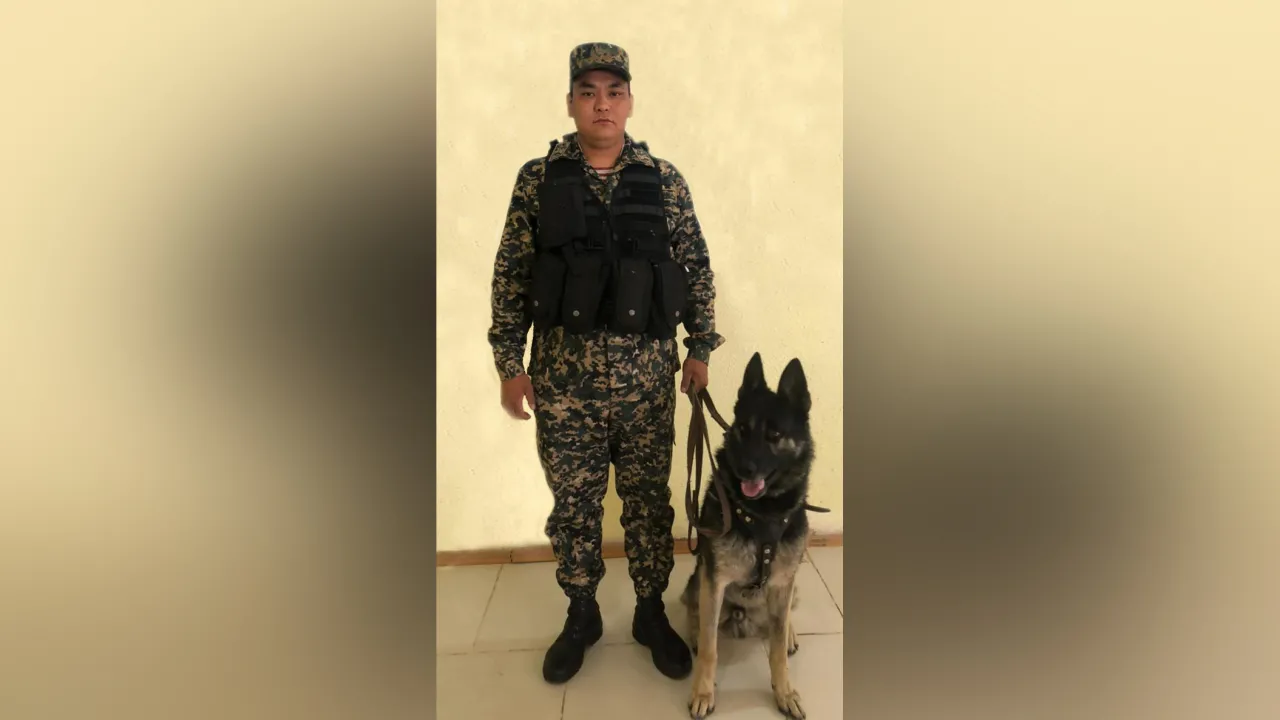 Национальный проект жасыл казахстан