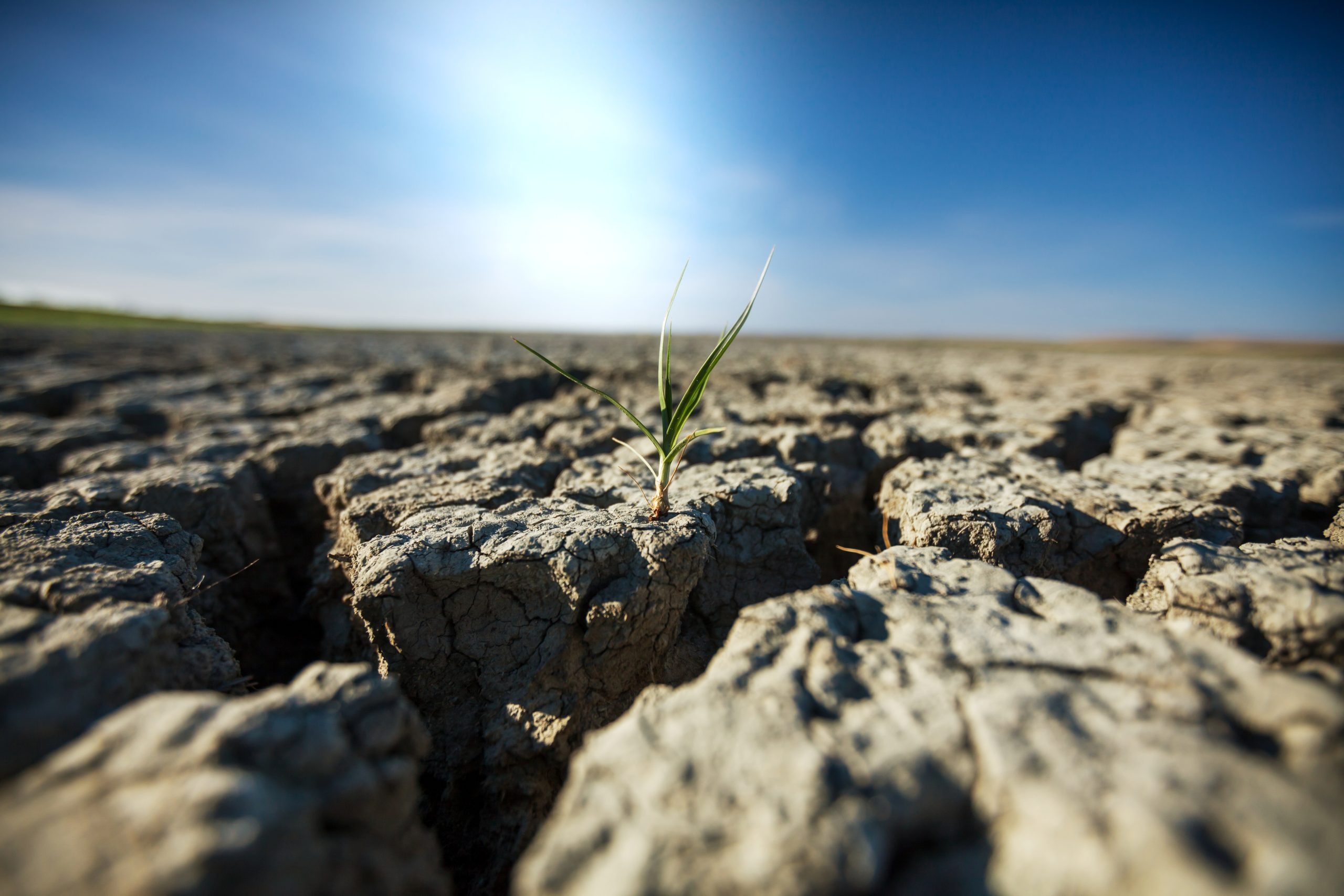 Погода засуха. Засуха в Испании 2014 год. Засуха в России. Засуха в Италии. Засуха в пустыне фото.