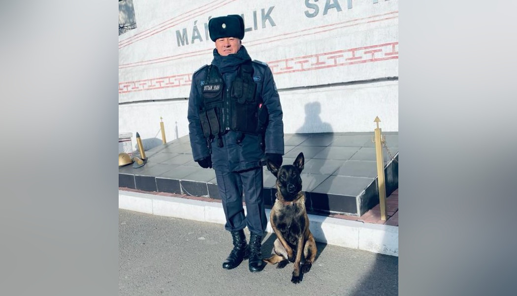 Собака и кинолог в деле: схрон с оружием найден в Павлодаре