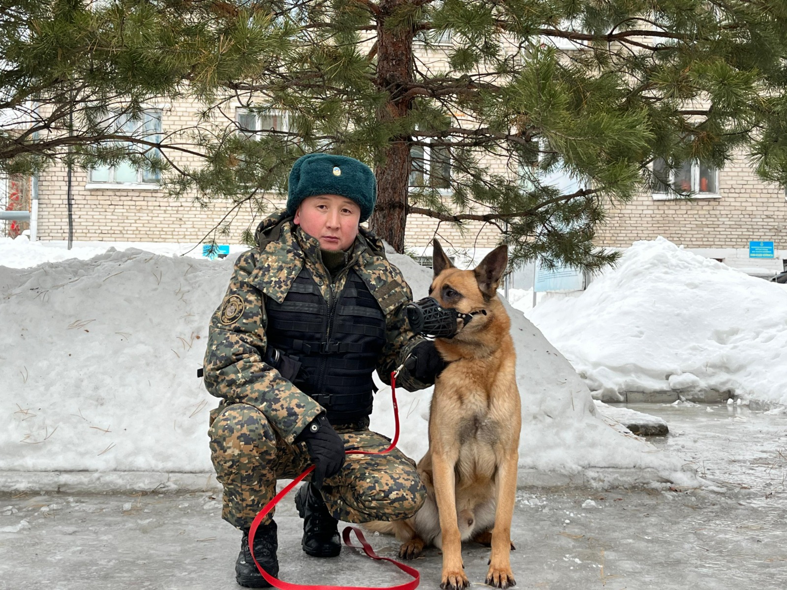 На страже общественного порядка: Кинологической службе войск более 30 лет