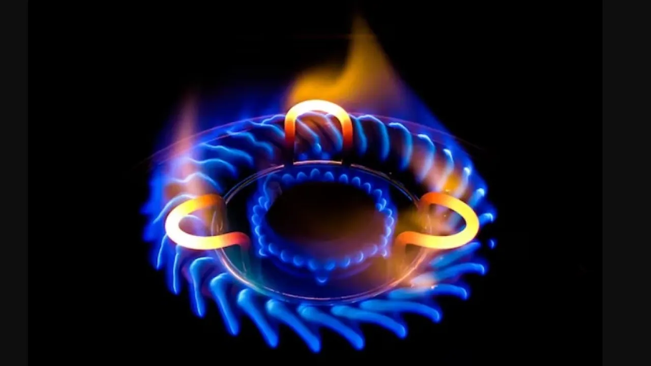 Расположение убежищ fallout 4. Fallout убежище 111. Фоллаут 4 карта поселений. Фоллаут 4 w. Карта всех убежищ в fallout 4.