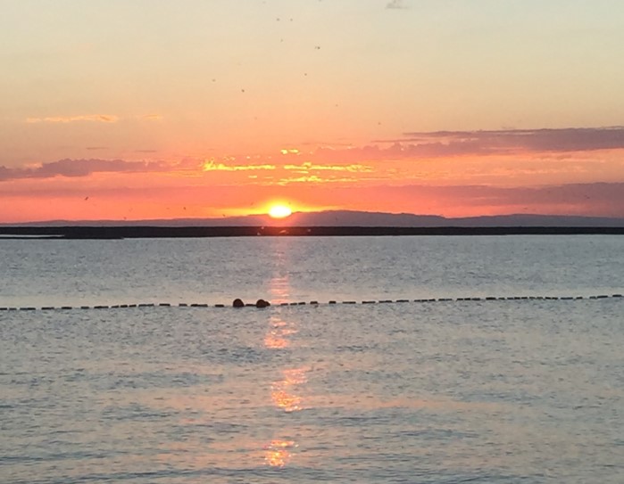 Бисексуалды Вологда