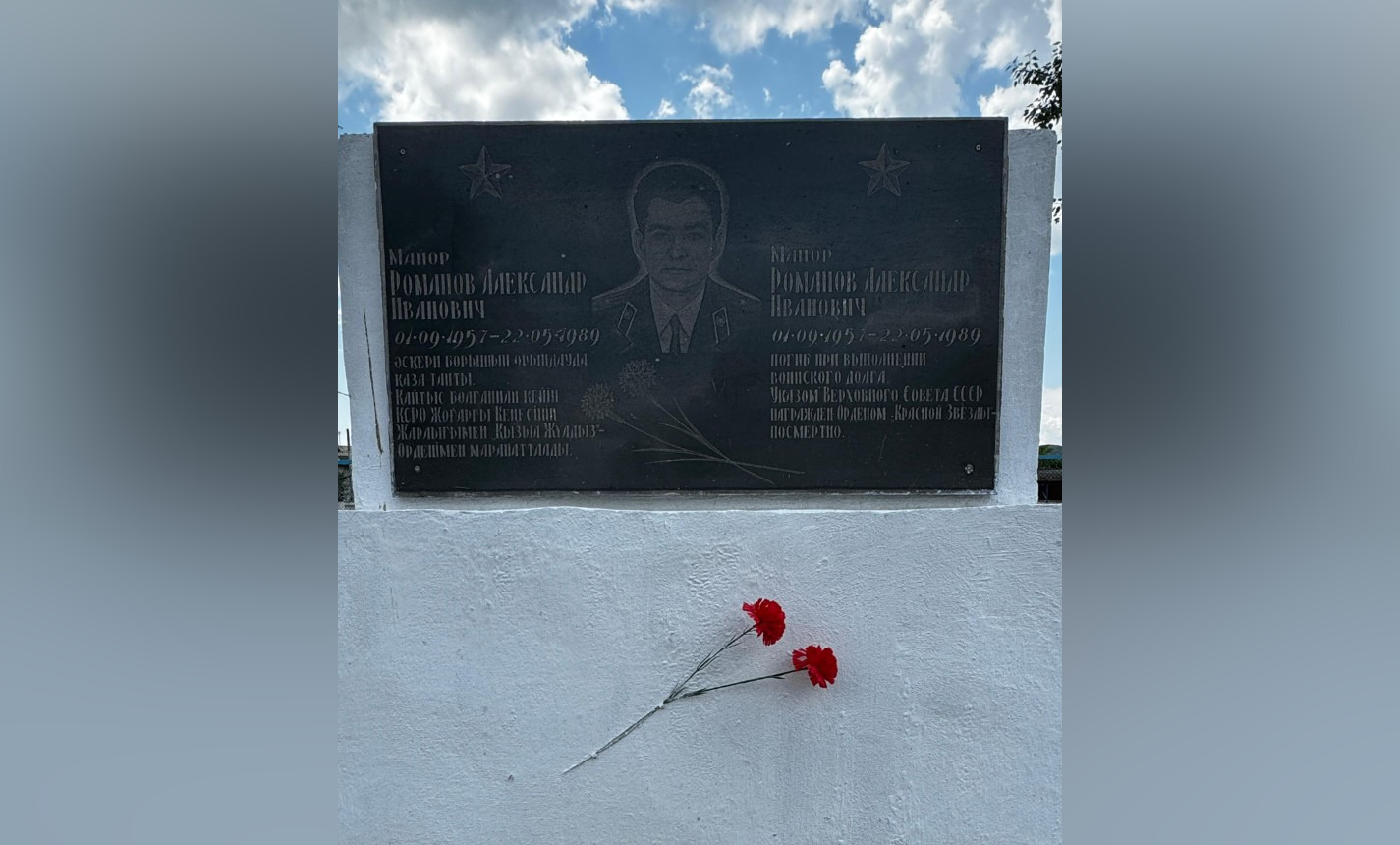 Мысықтарға арналған әйелдер шаштары