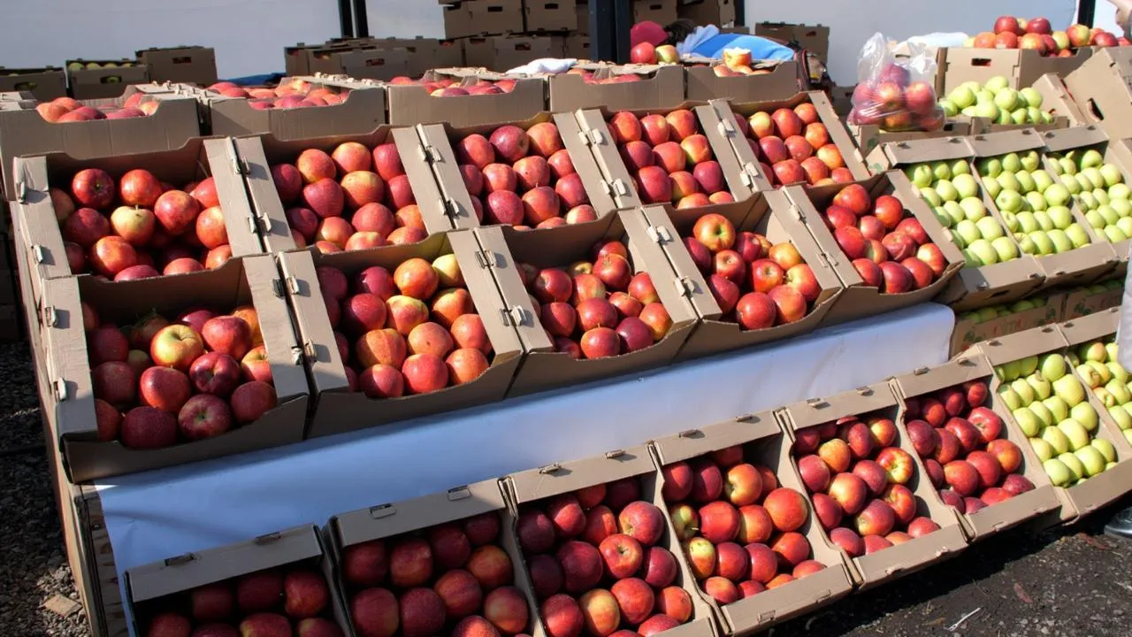 Олар мас әйелді оның барлық саңылауларында трах Қатты шашатын қыздардың порносын қараңыз