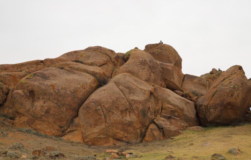 Гей порно фильмдері