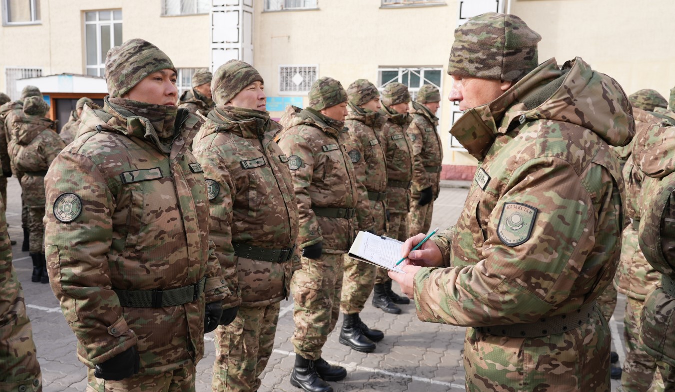 Қытай тарақанының порносы