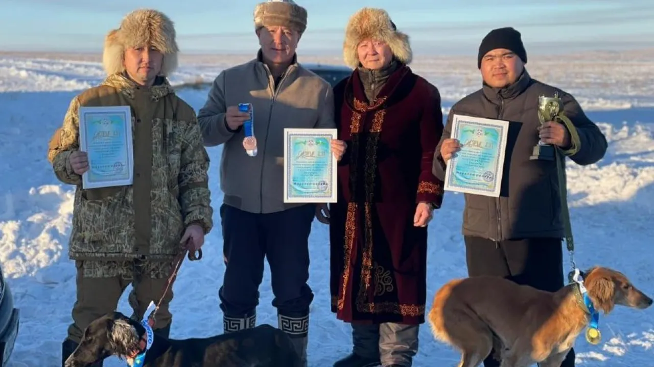 Пенис пирсинг