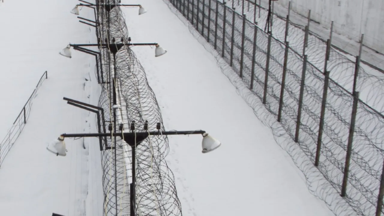 Бойжеткен үстемдік жасап, доптарды жаншып тастайды Одессада, Украинада БДСМ-ге құл іздейді