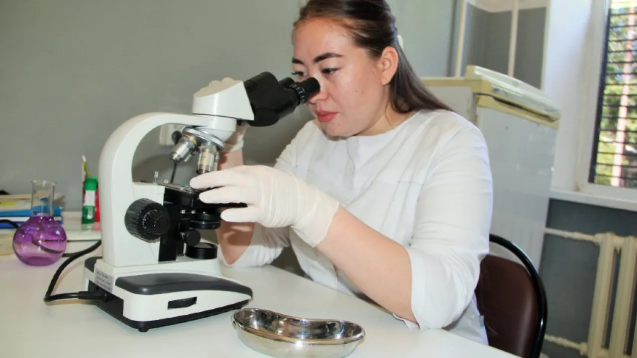 Интернеттегі қатаң порноның қысқа бейнелері, топтық секс