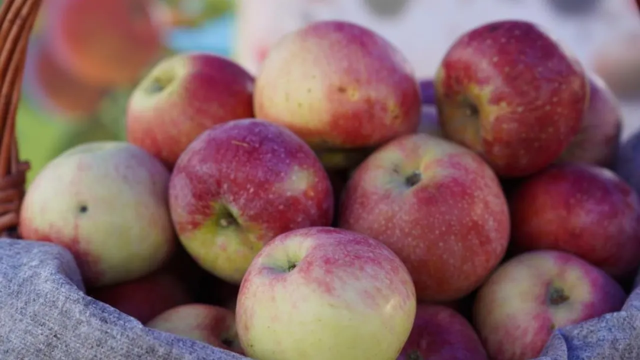 Қорқыныштан жалаңаш Алма