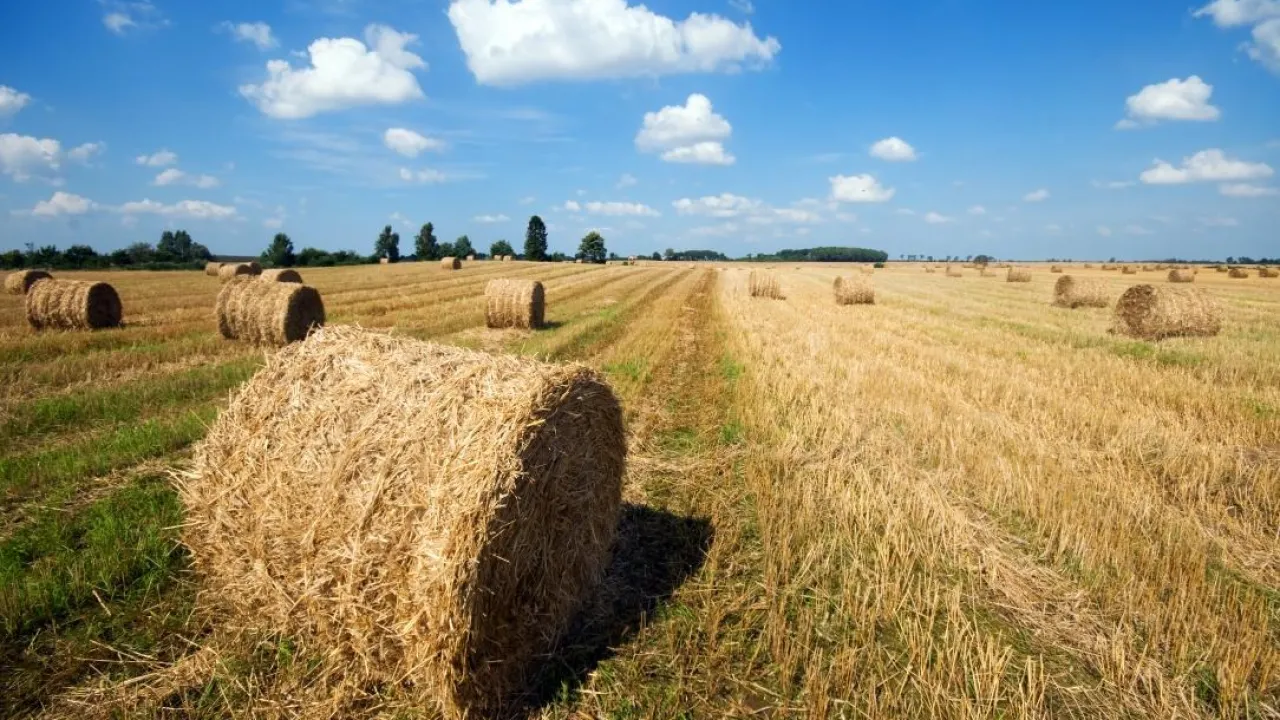 HD 720p әже порносы