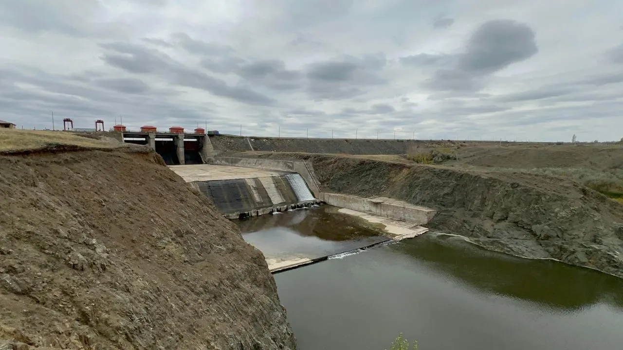 Шәует әйел денесі үшін қаншалықты пайдалы